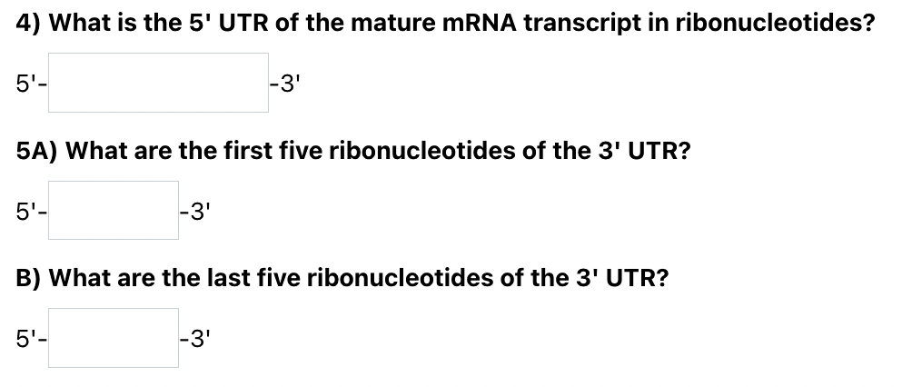 4) What is the 5' UTR of the mature mRNA transcript in ribonucleotides?
5'-
-3'
5A) What are the first five ribonucleotides of the 3' UTR?
5'-
-3'
B) What are the last five ribonucleotides of the 3' UTR?
5'-
-3'
