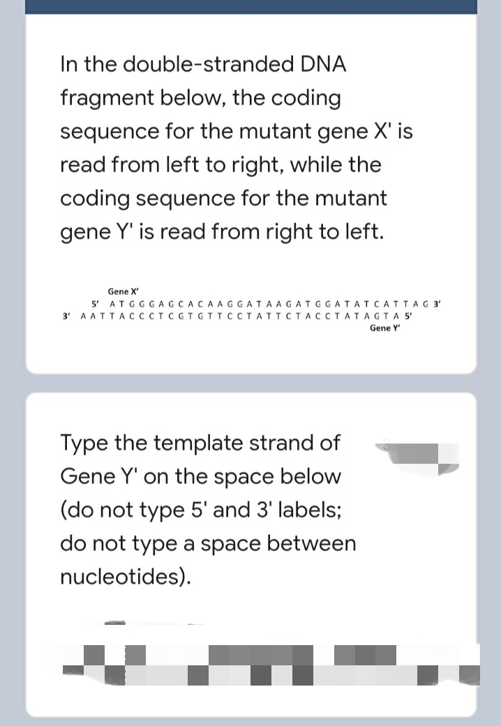 In the double-stranded DNA
fragment below, the coding
sequence for the mutant gene X' is
read from left to right, while the
coding sequence for the mutant
gene Y' is read from right to left.
Gene X'
5' ATGG GAGCACAAGGATAAGATGGATATCATTAG 3'
3' AATTA CCCTC GTGTTCCTATTCTACCTATAGTA 5'
Gene Y
Type the template strand of
Gene Y' on the space below
(do not type 5' and 3' labels;
do not type a space between
nucleotides).
