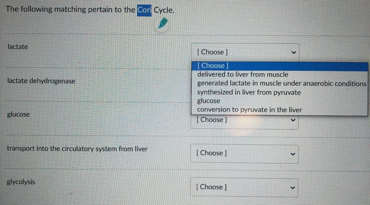 The following matching pertain to the Cori Cycle.
lactate
[ Choose I
[Choose]
delivered to liver from muscle
lactate dehydrogenase
generated lactate in muscle under anaerobic conditions
synthesized in liver from pyruvate
glucose
conversion to pyruvate in the liver
glucose
[ Choose ]
transport into the circulatory system from liver
[Choose ]
glycolysis
[Choose ]
