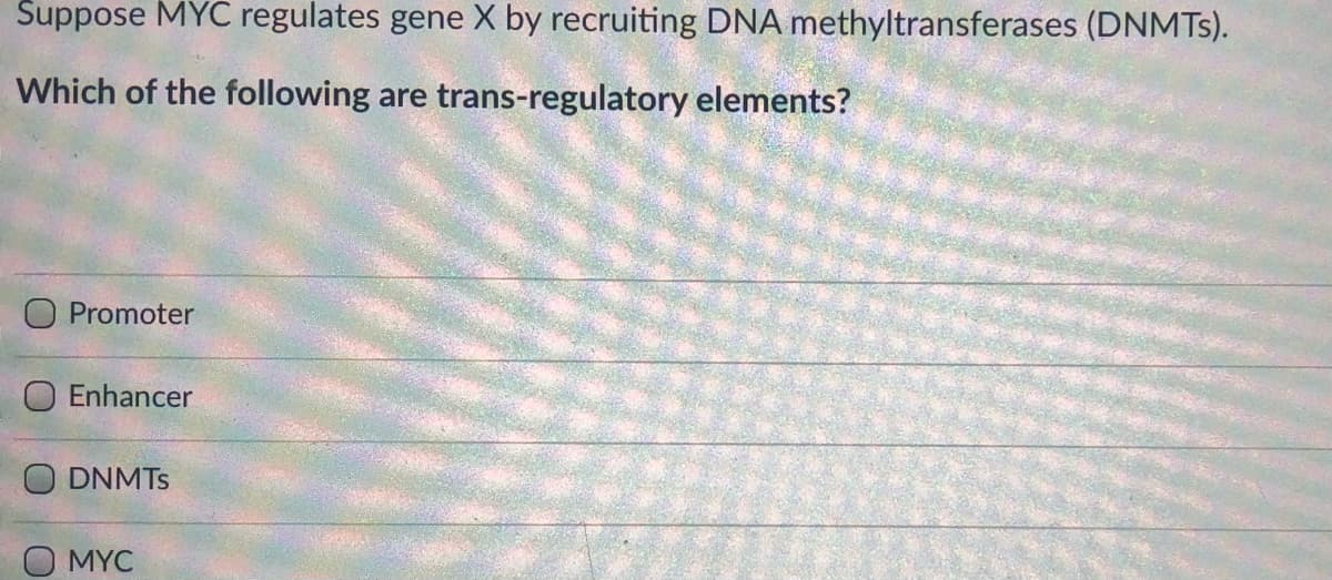 Suppose MYC regulates gene X by recruiting DNA methyltransferases (DNMTS).
Which of the following are trans-regulatory elements?
O Promoter
O Enhancer
DNMTS
O MYC
