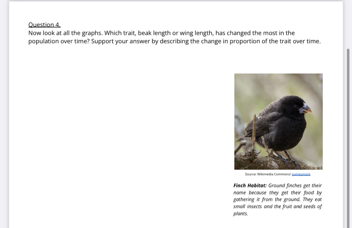 Question 4.
Now look at all the graphs. Which trait, beak length or wing length, has changed the most in the
population over time? Support your answer by describing the change in proportion of the trait over time.
Source: Wikimedia Commons/ putneymark
Finch Habitat: Ground finches get their
name because they get their food by
gathering it from the ground. They eat
small insects and the fruit and seeds of
plants.