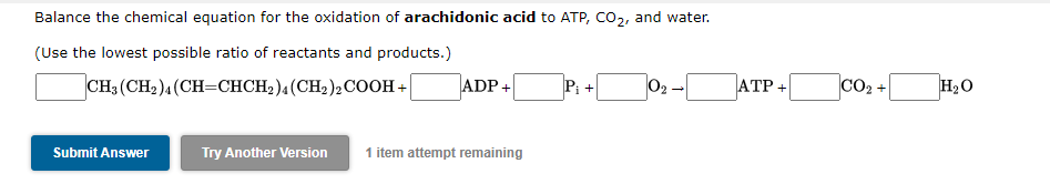 Balance the chemical equation for the oxidation of arachidonic acid to ATP, CO2, and water.
(Use the lowest possible ratio of reactants and products.)
CH; (CH2)4 (CH=CHCH;)4(CH2)2COOH +
ADP +|
Pi +
02-
ATP +
CO2 +
H2O
Submit Answer
Try Another Version
1 item attempt remaining
