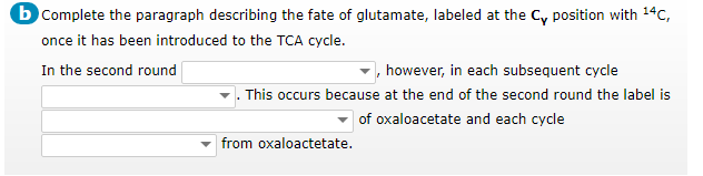 b Complete the paragraph describing the fate of glutamate, labeled at the Cy position with 14c,
once it has been introduced to the TCA cycle.
In the second round
however, in each subsequent cycle
This occurs because at the end of the second round the label is
of oxaloacetate and each cycle
from oxaloactetate.
