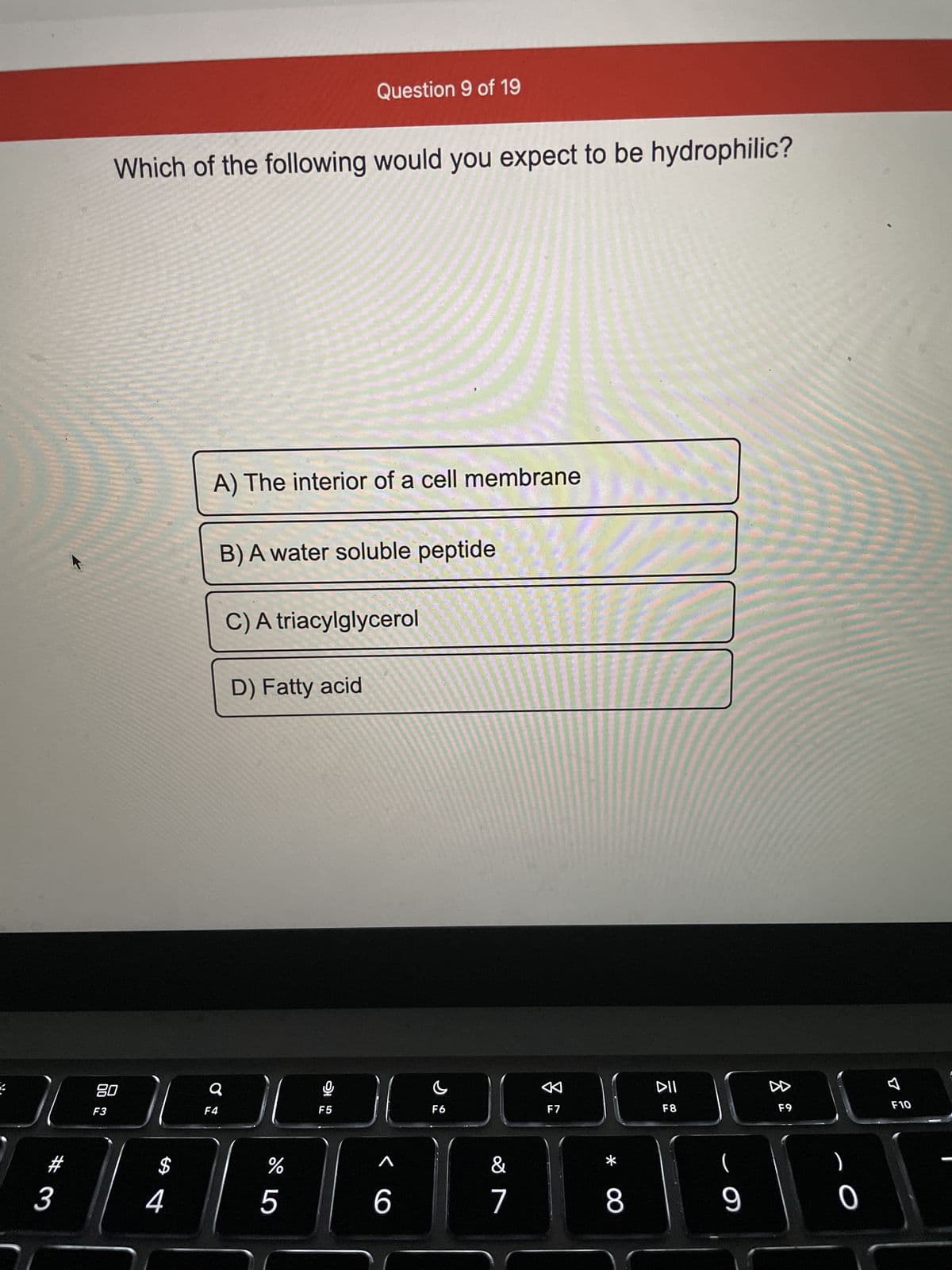 3
80
F3
Which of the following would you expect to be hydrophilic?
$
4
A) The interior of a cell membrane
Ơi
B) A water soluble peptide
Q
F4
C) A triacylglycerol
D) Fatty acid
Question 9 of 19
%
5
C
F5
}|
<6
c
F6
&
7
←
F7
*
8
DII
F8
9
F9
0
F10