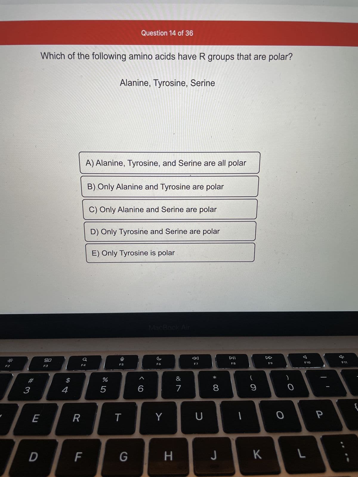 F2
3
E
D
Which of the following amino acids have R groups that are polar?
80
F3
R
영
F4
F
A) Alanine, Tyrosine, and Serine are all polar
$
BAB
4
B) Only Alanine and Tyrosine are polar
Alanine, Tyrosine, Serine
C) Only Alanine and Serine are polar
D) Only Tyrosine and Serine are polar
Question 14 of 36
E) Only Tyrosine is polar
%
5
9
F5
T
G
6
MacBook Air
F6
Y
H
v lo
&
7
F7
U
* 00
8
J
DII
F8
1
9
K
F9
O
F10
L
P
F11
{