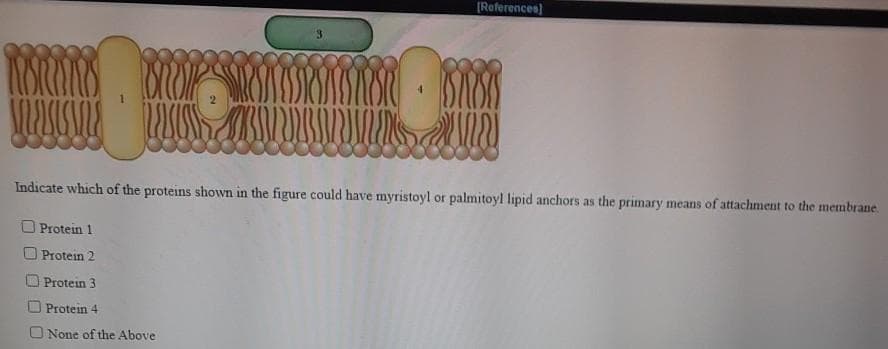 monems IP
MESINNE
1
O Protein 1
Protein 2
JOBS
Protein 3
Protein 4
None of the Above
[References]
Indicate which of the proteins shown in the figure could have myristoyl or palmitoyl lipid anchors as the primary means of attachment to the membrane.
ISTRUSES