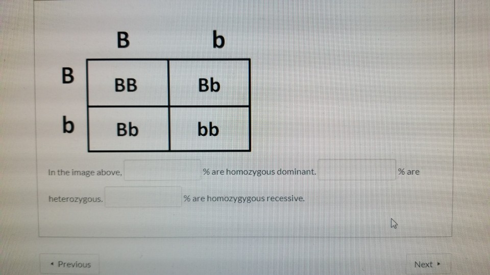 B
b
heterozygous.
B
< Previous
BB
In the image above,
Bb
b
Bb
bb
% are homozygous dominant.
% are homozygygous recessive.
% are
4
Next >