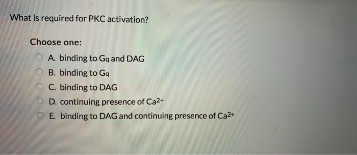 What is required for PKC activation?
Choose one:
A. binding to Gq and DAG
B. binding to Gq
C. binding to DAG
D. continuing presence of Ca²+
E. binding to DAG and continuing presence of Ca2+