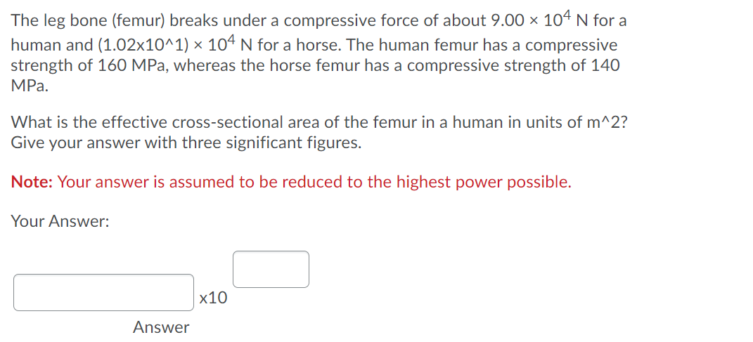 The leg bone (femur) breaks under a compressive force of about 9.00 × 104 N for a
human and (1.02x10^1) × 104 N for a horse. The human femur has a compressive
strength of 160 MPa, whereas the horse femur has a compressive strength of 140
MPа.
What is the effective cross-sectional area of the femur in a human in units of m^2?
Give your answer with three significant figures.
Note: Your answer is assumed to be reduced to the highest power possible.
Your Answer:
х10
Answer
