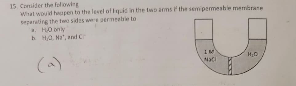 15. Consider the following
What would happen to the level of liquid in the two arms if the semipermeable membrane
separating the two sides were permeable to
a. H₂O only
b. H₂O, Na*, and Cl
1M
NaCl
H₂O