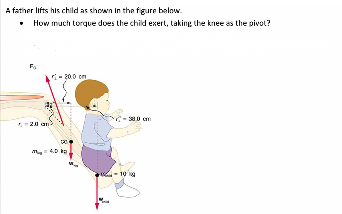 A father lifts his child as shown in the figure below.
How much torque does the child exert, taking the knee as the pivot?
Fo
= 20.0 cm
" = 38.0 cm
%3D
r = 2.0 cm
CG
= 4.0 kg
chia = 10 kg
child
