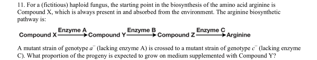 11. For a (fictitious) haploid fungus, the starting point in the biosynthesis of the amino acid arginine is
Compound X, which is always present in and absorbed from the environment. The arginine biosynthetic
pathway is:
Enzyme A
Enzyme B
Enzyme Ç
Compound X-
Compound Y
Compound Z-
Arginine
A mutant strain of genotype a (lacking enzyme A) is crossed to a mutant strain of genotype c (lacking enzyme
C). What proportion of the progeny is expected to grow on medium supplemented with Compound Y?
