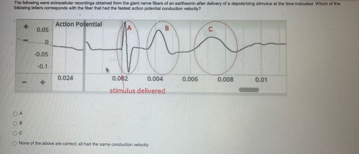 The following were extracellular recordings obtained from the giant nerve fibers of an earthworm after delivery of a depolarizing stimulus at the time indicated. Which of the
following letters corresponds with the fiber that had the fastest action potential conduction velocity?
I
OA
0.05
0
-0.05
-0.1.
+
Action Potential
0.024
B
W
0.002
0.004
stimulus delivered
A
OB
OC
None of the above are correct; all had the same conduction velocity
0.006
C
0.008
0.01
