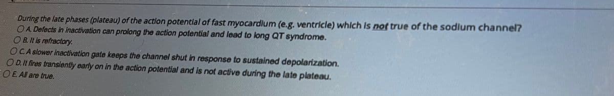 During the late phases (plateau) of the action potential of fast myocardium (e.g. ventricle) which is not true of the sodium channel?
OA. Defects in inactivation can prolong the action potential and lead to long QT syndrome.
OB. It is refractory.
OC.A slower inactivation gate keeps the channel shut in response to sustained depolarization.
OD. It fires transiently early on in the action potential and is not active during the late plateau.
O E. All are true.