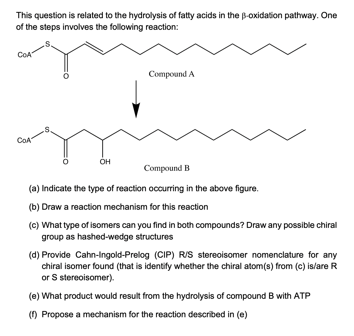 This question is related to the hydrolysis of fatty acids in the ß-oxidation pathway. One
of the steps involves the following reaction:
COA
Compound A
COA
OH
Compound B
(a) Indicate the type of reaction occurring in the above figure.
(b) Draw a reaction mechanism for this reaction
(c) What type of isomers can you find in both compounds? Draw any possible chiral
group as hashed-wedge structures
(d) Provide Cahn-Ingold-Prelog (CIP) R/S stereoisomer nomenclature for any
chiral isomer found (that is identify whether the chiral atom(s) from (c) is/are R
or S stereoisomer).
(e) What product would result from the hydrolysis of compound B with ATP
(f) Propose a mechanism for the reaction described in (e)
S