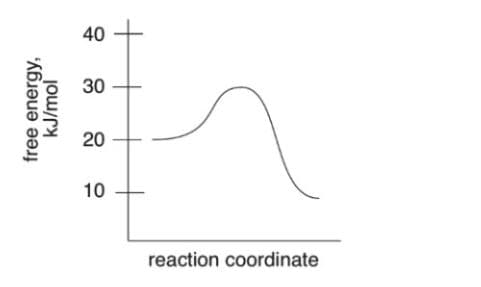 40
30
reaction coordinate
free energy,
kJ/mol
20
10
