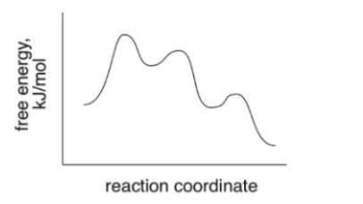 reaction coordinate
free energy,
kJ/mol
