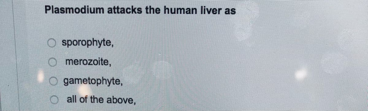 Plasmodium attacks the human liver as
O sporophyte,
O merozoite,
O gametophyte,
O all of the above,
