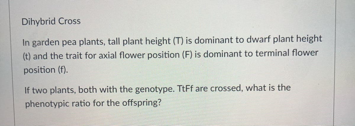 Dihybrid Cross
In garden pea plants, tall plant height (T) is dominant to dwarf plant height
(t) and the trait for axial flower position (F) is dominant to terminal flower
position (f).
If two plants, both with the genotype. TtFf are crossed, what is the
phenotypic ratio for the offspring?
