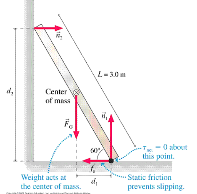 d₂
Center
of mass
FG
Weight acts at
the center of mass.
Pens
L = 3.0 m
60°
d₁
= 0 about
this point.
net
Static friction
prevents slipping.