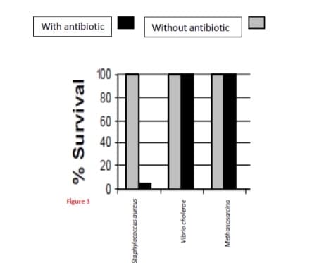 With antibiotic
Without antibiotic
100
80
60
40
20
Figure
3
% Survival
snano sna302oykydos
Vibrio cholerae
Methanosarcina
