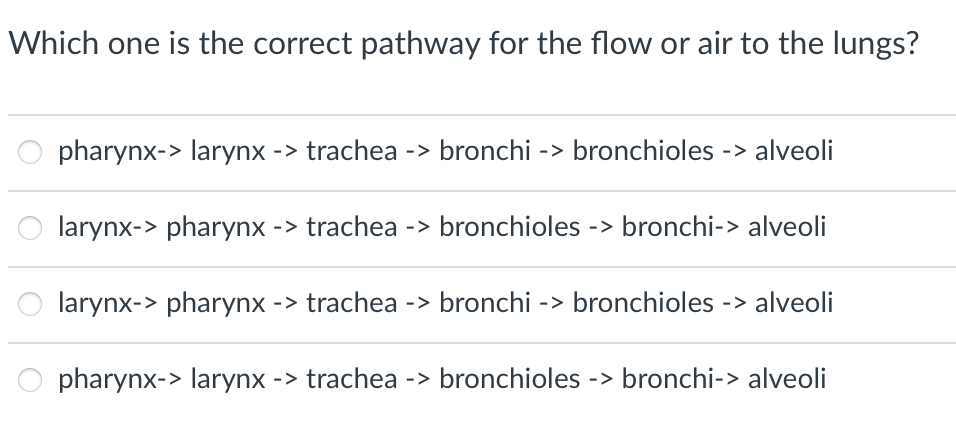 Which one is the correct pathway for the flow or air to the lungs?
pharynx-> larynx -> trachea -> bronchi -> bronchioles -> alveoli
larynx-> pharynx -> trachea -> bronchioles -> bronchi-> alveoli
larynx-> pharynx -> trachea -> bronchi -> bronchioles -> alveoli
pharynx-> larynx -> trachea -> bronchioles -> bronchi-> alveoli