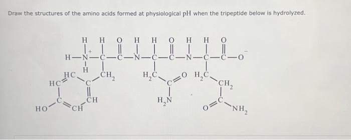 Draw the structures of the amino acids formed at physiological pH when the tripeptide below is hydrolyzed.
но
HC
ннон нонн с
H-N-C-C-N-C-C-N-с-с
H C.
HC.
||
CH
CH₂
=0
H₂N
H C.
SCH,
o=c
NH₂