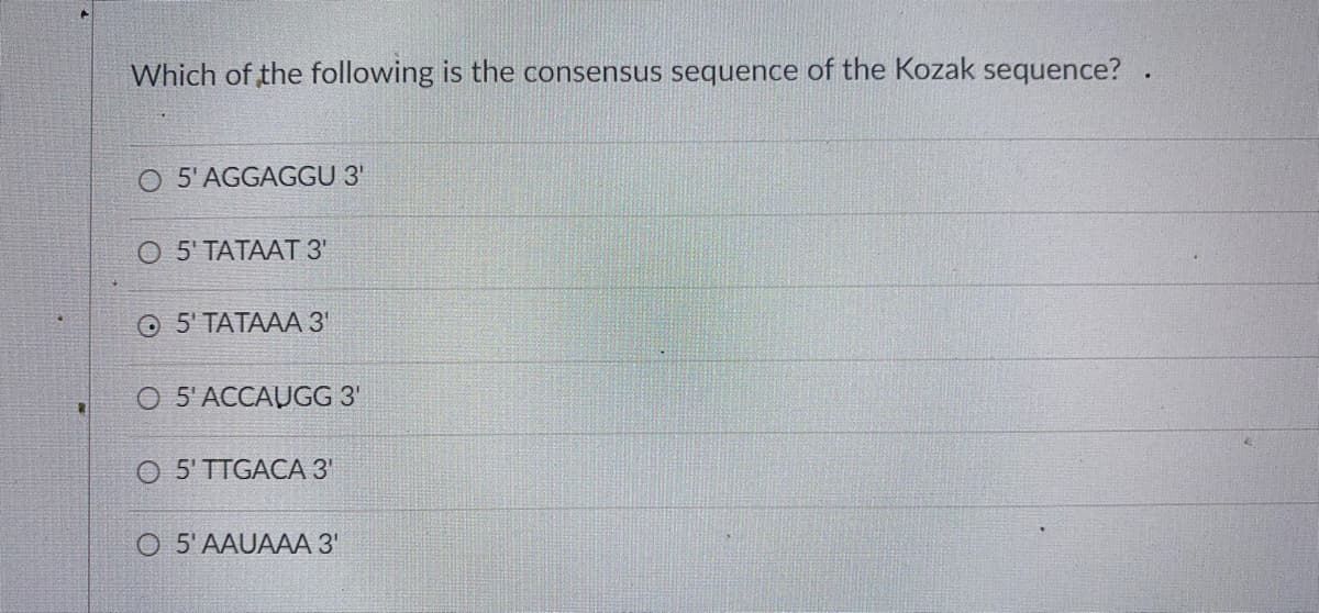 Which of the following is the consensus sequence of the Kozak sequence?.
O 5'AGGAGGU 3'
О 5 ТАТААТ 3"
О 5 ТАТААА 3'
O 5'ACCAUGG 3'
O 5'TTGAC 3'
O 5'AAUAAA 3'
