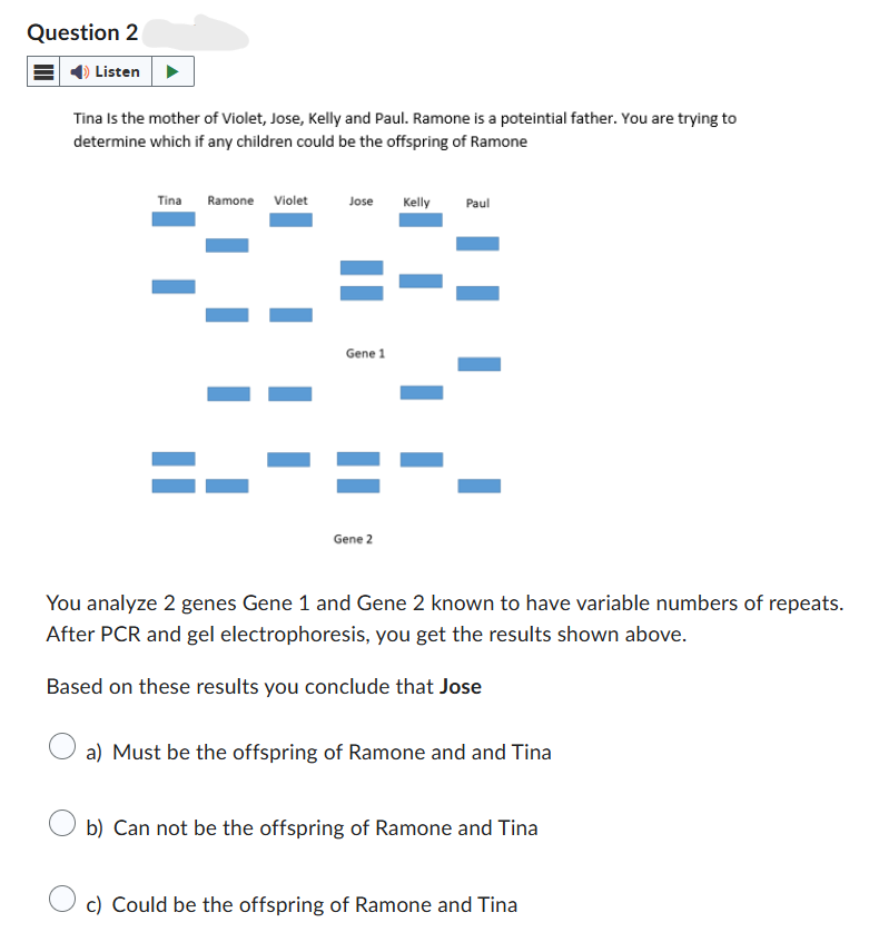 Question 2
Listen
Tina Is the mother of Violet, Jose, Kelly and Paul. Ramone is a potential father. You are trying to
determine which if any children could be the offspring of Ramone
Tina Ramone Violet
Jose Kelly
Paul
Gene 1
Gene 2
You analyze 2 genes Gene 1 and Gene 2 known to have variable numbers of repeats.
After PCR and gel electrophoresis, you get the results shown above.
Based on these results you conclude that Jose
a) Must be the offspring of Ramone and and Tina
b) Can not be the offspring of Ramone and Tina
c) Could be the offspring of Ramone and Tina