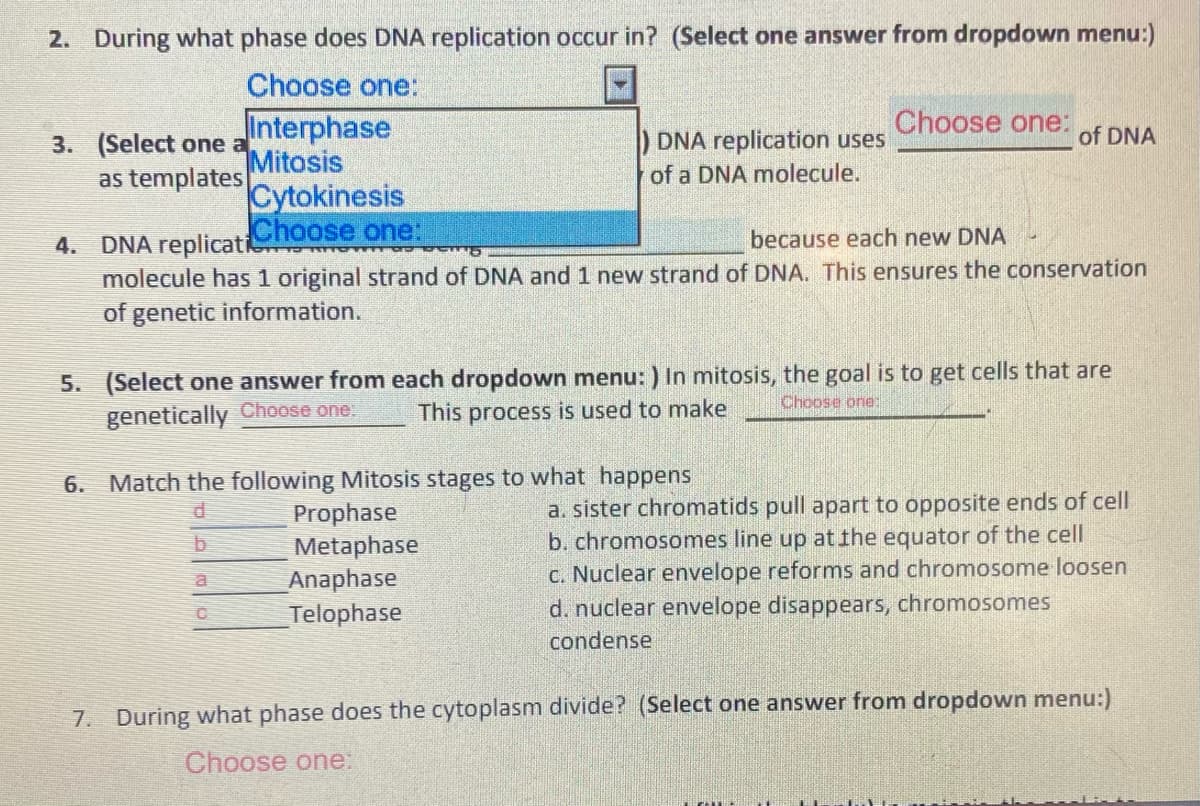 2. During what phase does DNA replication occur in? (Select one answer from dropdown menu:)
Choose one:
Choose one:
Interphase
Mitosis
Cytokinesis
Choose one:
DNA replication uses
of DNA
3. (Select one a
as templates
of a DNA molecule.
because each new DNA
DNA replicati
molecule has 1 original strand of DNA and 1 new strand of DNA. This ensures the conservation
of genetic information.
4.
5. (Select one answer from each dropdown menu: ) In mitosis, the goal is to get cells that are
genetically Cheose one:
Choose one:
This process is used to make
6. Match the following Mitosis stages to what happens
Prophase
Metaphase
Anaphase
Telophase
a. sister chromatids pull apart to opposite ends of cell
b. chromosomes line up at the equator of the cell
c. Nuclear envelope reforms and chromosome loosen
d. nuclear envelope disappears, chromosomes
condense
7. During what phase does the cytoplasm divide? (Select one answer from dropdown menu:)
Choose one:
