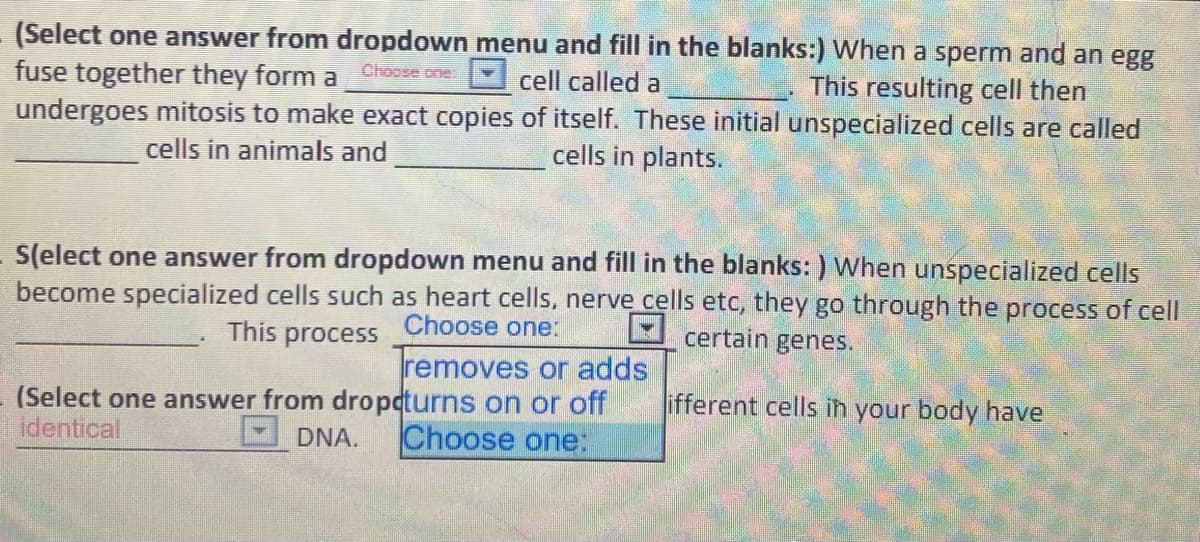 (Select one answer from dropdown menu and fill in the blanks:) When a sperm and an egg
cell called a
undergoes mitosis to make exact copies of itself. These initial unspecialized cells are called
cells in plants.
fuse together they form a Chocse ome
This resulting cell then
cells in animals and
S(elect one answer from dropdown menu and fill in the blanks: ) When unspecialized cells
become specialized cells such as heart cells, nerve cells etc, they go through the process of cell
This process Choose one:
certain genes.
removes or adds
ifferent cells ih your body have
(Select one answer from dropdturns on or off
identical
DNA.
Choose one:

