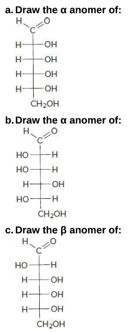 a. Draw the a anomer of:
Н.
Н-
HO-
Н
O-
H-
O-
Н-
Он
CH2OH
b. Draw the a anomer of:
Н,
но
но
Н-
OH
но-
CH2OH
c. Draw the B anomer of:
Н
но
-H-
н
OH
Н-
Н-
Он
CH2OH
