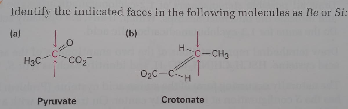 Identify the indicated faces in the following molecules as Re or Si:
(a)
(b)
H
C-CH3
H3C-
CO2
"02C-CH
Pyruvate
Crotonate
