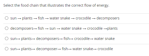 Select the food chain that illustrates the correct flow of energy.
sun → plants → fish → water snake → crocodile → decomposers
decomposers → fish → sun → water snake → crocodile →plants
sun→ plants → decomposers fish crocodilewater snake
sun→ plants → decomposer fish-water snake→ crocodile