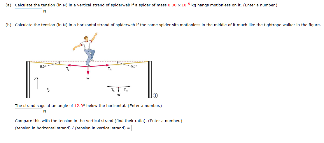 (a) Calculate the tension (in N) in a vertical strand of spiderweb if a spider of mass 8.00 x 10-5 kg hangs motionless on it. (Enter a number.)
(b) Calculate the tension (in N) in a horizontal strand of spiderweb if the same spider sits motionless in the middle of it much like the tightrope walker in the figure.
5.0°
5.0°
T.
y4
T.
Ta
The strand sags at an angle of 12.0° below the horizontal. (Enter a number.)
Compare this with the tension in the vertical strand (find their ratio). (Enter a number.)
(tension in horizontal strand) / (tension in vertical strand) =
