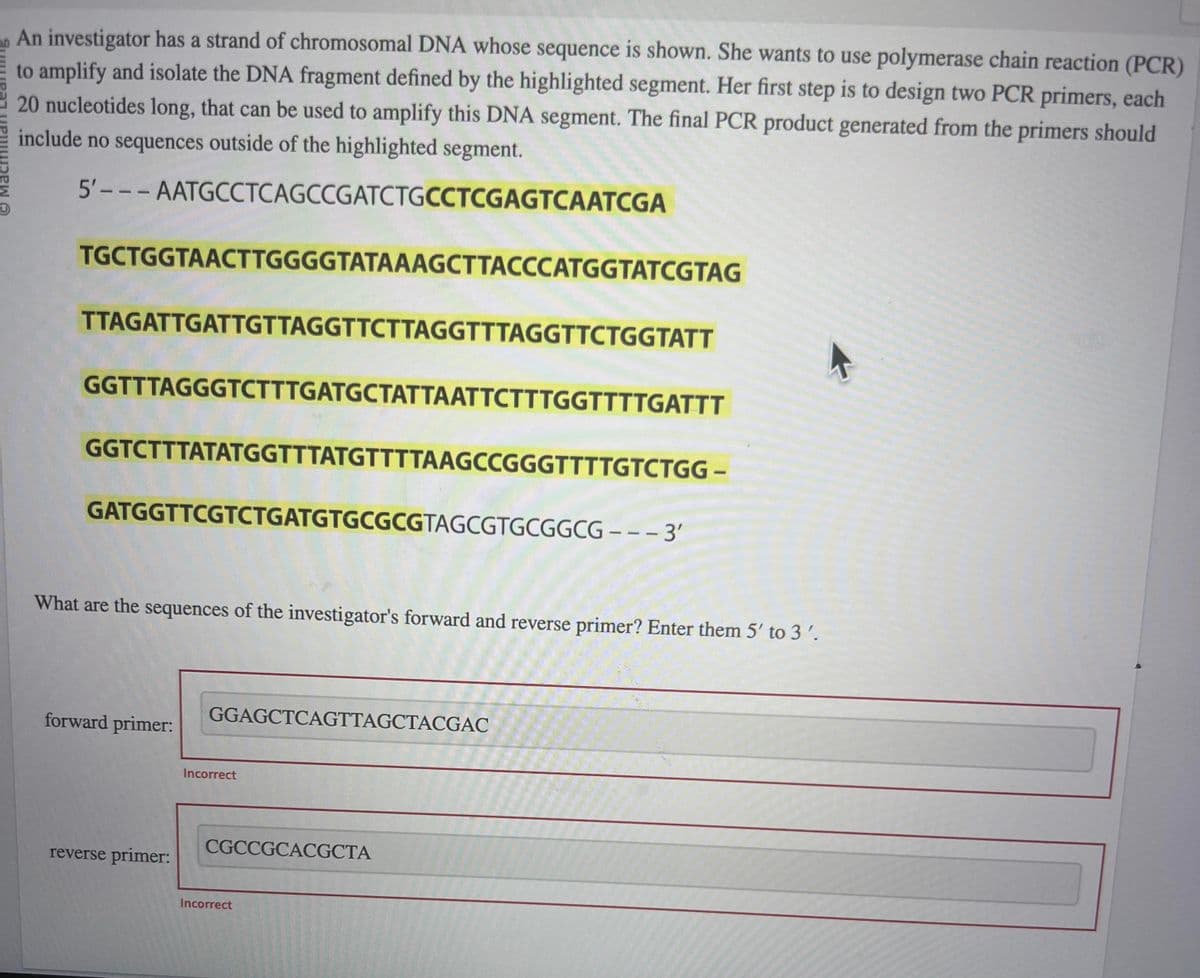 An investigator has a strand of chromosomal DNA whose sequence is shown. She wants to use polymerase chain reaction (PCR)
to amplify and isolate the DNA fragment defined by the highlighted segment. Her first step is to design two PCR primers, each
20 nucleotides long, that can be used to amplify this DNA segment. The final PCR product generated from the primers should
include no sequences outside of the highlighted segment.
5'---
AATGCCTCAGCCGATCTGCCTCGAGTCAATCGA
TGCTGGTAACTTGGGGTATAAAGCTTACCCATGGTATCGTAG
TTAGATTGATTGTTAGGTTCTTAGGTTTAGGTTCTGGTATT
GGTTTAGGGTCTTTGATGCTATTAATTCTTTGGTTTTGATTT
GGTCTTTATATGGTTTATGTTTTAAGCCGGGTTTTGTCTGG-
GATGGTTCGTCTGATGTGCGCGTAGCGTGCGGCG---3'
What are the sequences of the investigator's forward and reverse primer? Enter them 5' to 3'.
forward primer:
reverse primer:
GGAGCTCAGTTAGCTACGAC
Incorrect
CGCCGCACGCTA
-
Incorrect