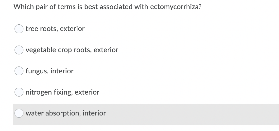 Which pair of terms is best associated with ectomycorrhiza?
tree roots, exterior
vegetable crop roots, exterior
fungus, interior
nitrogen fixing, exterior
water absorption, interior
