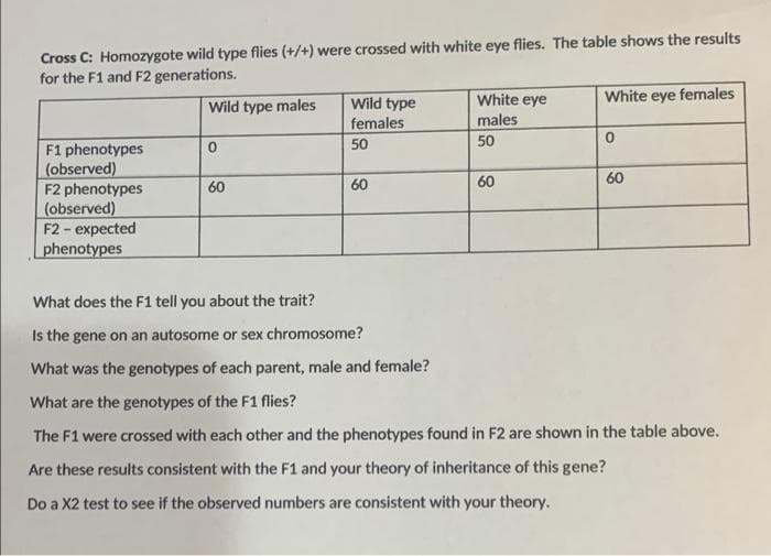 Cross C: Homozygote wild type flies (+/+) were crossed with white eye flies. The table shows the results
for the F1 and F2 generations.
White eye females
Wild type
females
White eye
males
Wild type males
50
F1 phenotypes
(observed)
F2 phenotypes
(observed)
F2 - expected
phenotypes
50
60
60
60
60
What does the F1 tell you about the trait?
Is the gene on an autosome or sex chromosome?
What was the genotypes of each parent, male and female?
What are the genotypes of the F1 flies?
The F1 were crossed with each other and the phenotypes found in F2 are shown in the table above.
Are these results consistent with the F1 and your theory of inheritance of this gene?
Do a X2 test to see if the observed numbers are consistent with your theory.
