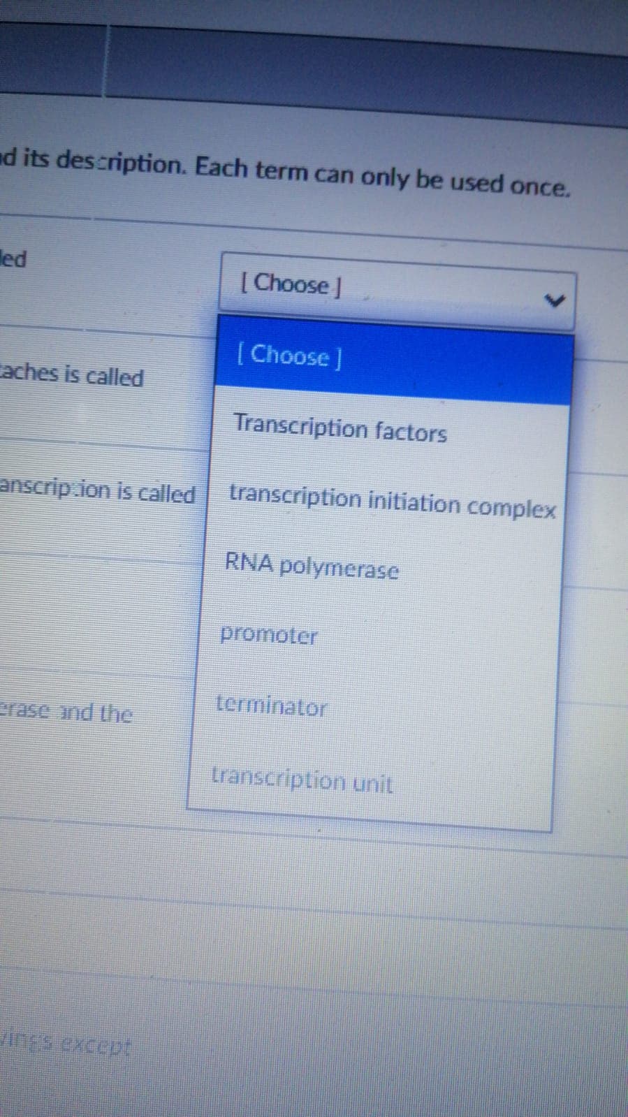 nd its description. Each term can only be used once.
led
[ Choose J
( Choose]
Caches is called
Transcription factors
anscrip.ion is called
transcription initiation complex
RNA polymerase
promoter
terminator
rase and the
transcription unit
ings except
