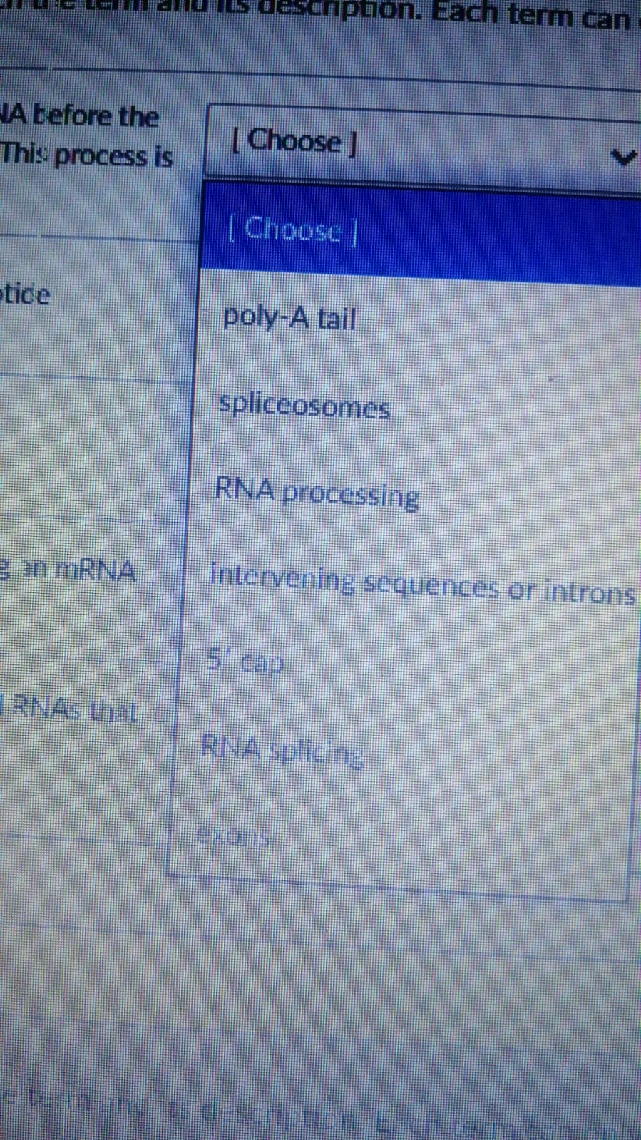 nption. Each term can
JA before the
This process is
[Choose]
[Choose
etice
poly-A tail
spliceosomes
RNA processing
ean MRNA
intervening sequences or introns
RNAS that
ENA DICing
