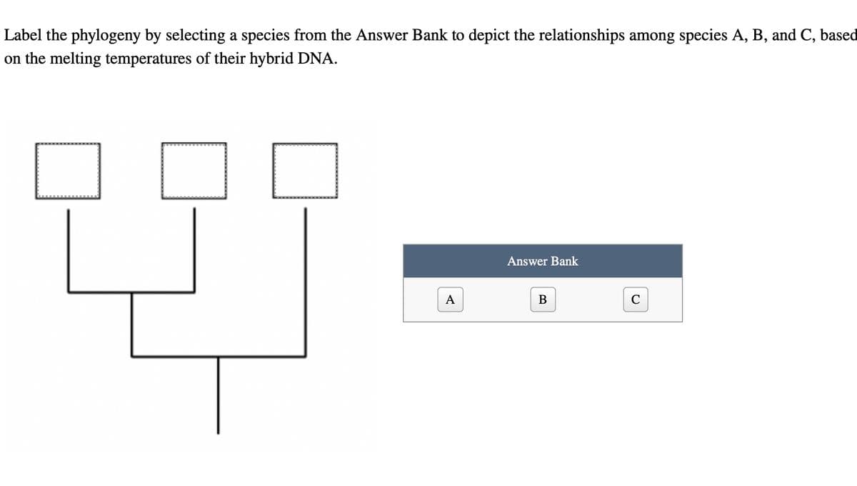 Label the phylogeny by selecting a species from the Answer Bank to depict the relationships among species A, B, and C, based
on the melting temperatures of their hybrid DNA.
A
Answer Bank
B
C