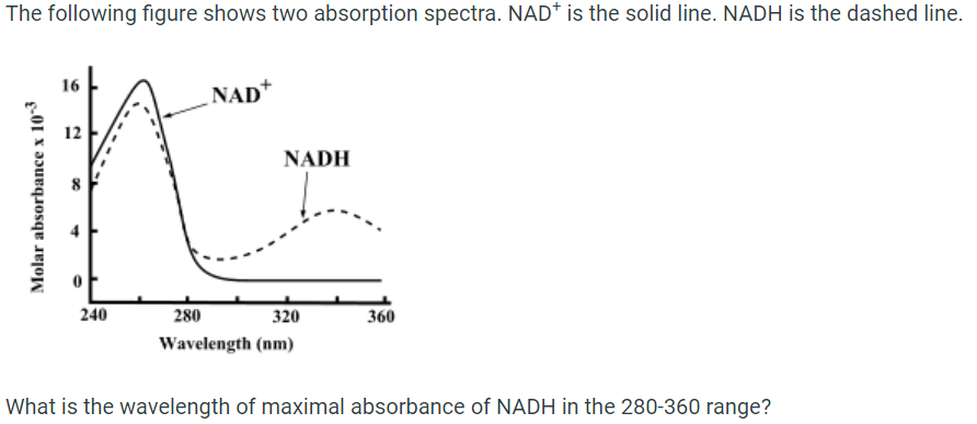 The following figure shows two absorption spectra. NAD* is the solid line. NADH is the dashed line.
16
NAD+
12
NADH
240
280
320
360
Wavelength (nm)
What is the wavelength of maximal absorbance of NADH in the 280-360 range?
Molar absorbance x 103
