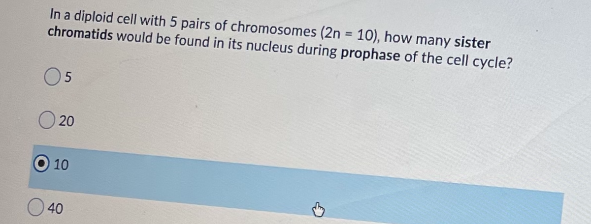 In a diploid cell with 5 pairs of chromosomes (2n = 10), how many sister
chromatids would be found in its nucleus during prophase of the cell cycle?
%3D
O5
O 20
10
O 40
