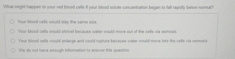 What might happen to your red blood cells if your blood solute concentration began to fall rapidly below normal?
Your blood cells would stay the same size.
O Your blood cells would shrivel because water would move out of the cells via osmosis
Your blood cells would enlarge and could rupture because water would move into the cells via osmosis
We do not have enough information to answer this question.