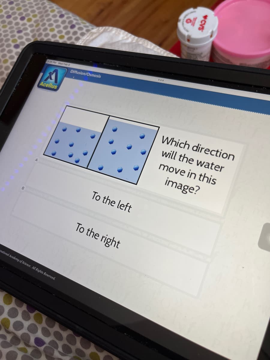 B
3:25 PM Wed Feb 8
Acellus
national Academy of Science. All Rights Reserved.
Diffusion/Osmosis
To the left
To the right
...
♥CVS
Which direction
will the water
move in this
image?