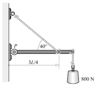 40°
3L/4
800 N
