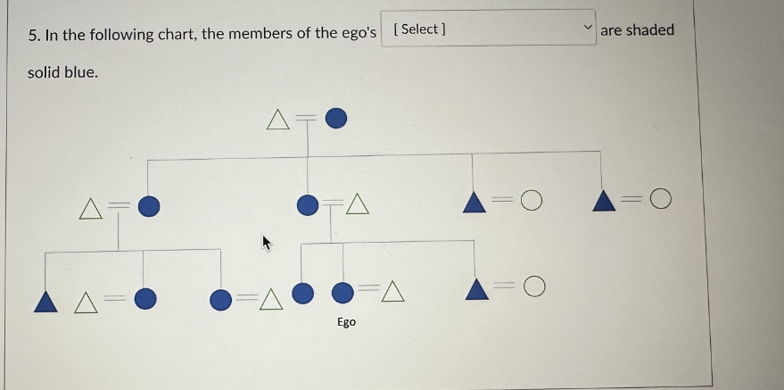 5. In the following chart, the members of the ego's [Select]
solid blue.
AF
A=
AF
O=A
A
Ego
=A
=O
are shaded
=O