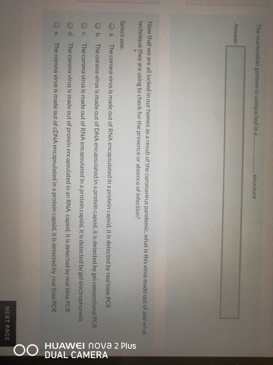 OO HUAWEI Nova 2 Plus
DUAL CAMERA
The mammalian genome is compacted in a
structure
Answer:
Now that we are all locked in our homes as a result of the coronavirus pandemic, what is this virus made out of and what
technique they are using to check for the presence or absence of infection?
Select one:
O a.
The corona virus is made out of RNA encapsulated in a protein capsid, it is detected by real time PCR
O b. The corona virus is made out of DNA encapsulated in a protein capsid, it is detected by gel conventional PCR
O C.
The corona virus is made out of RNA encapsulated in a protein capsid, it is detected by gel electrophoresis
d. The corona virus is made out of protein encapsulated in an RNA capsid, it is detected by real time PCR
O e.
The corona virus is made out of CDNA encapsulated in a protein capsid, it is detected by real time PCR
NEXT PAGE

