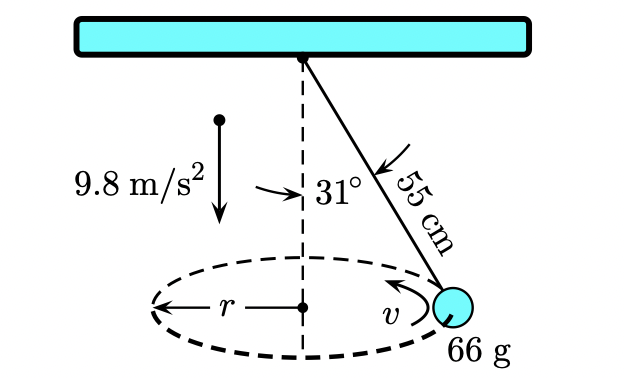 9.8 m/s²
31°
r –
66 g
55 cm
