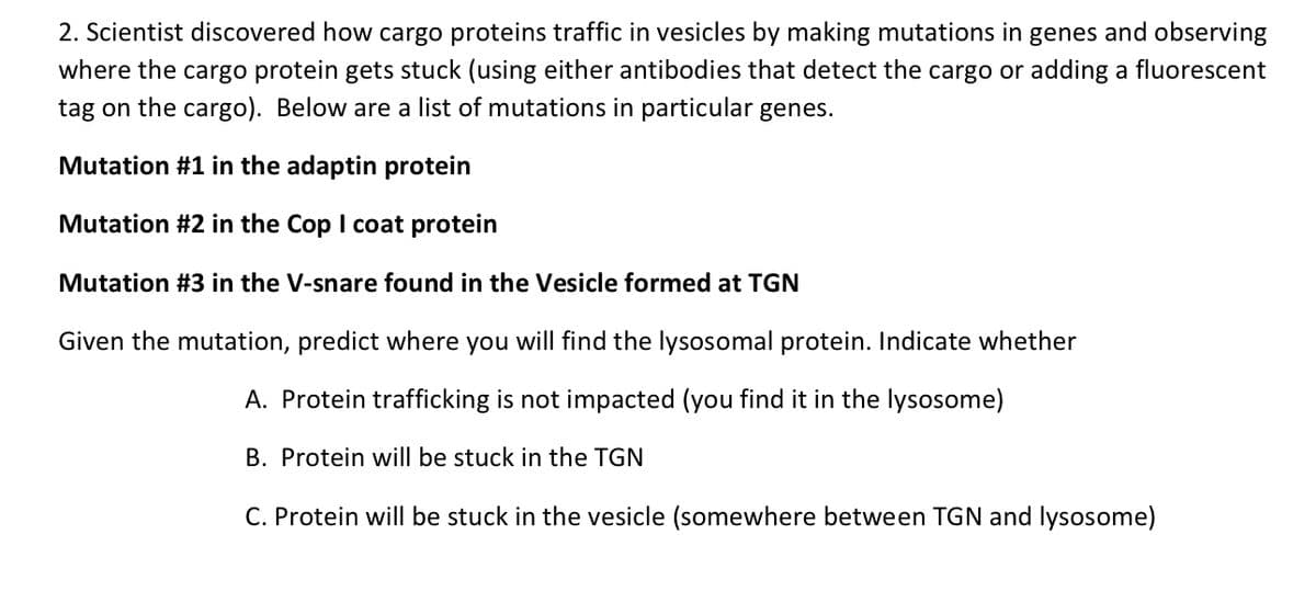 2. Scientist discovered how cargo proteins traffic in vesicles by making mutations in genes and observing
where the cargo protein gets stuck (using either antibodies that detect the cargo or adding a fluorescent
tag on the cargo). Below are a list of mutations in particular genes.
Mutation #1 in the adaptin protein
Mutation #2 in the Cop I coat protein
Mutation #3 in the V-snare found in the Vesicle formed at TGN
Given the mutation, predict where you will find the lysosomal protein. Indicate whether
A. Protein trafficking is not impacted (you find it in the lysosome)
B. Protein will be stuck in the TGN
C. Protein will be stuck in the vesicle (somewhere between TGN and lysosome)
